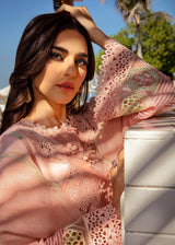 BAREEHA