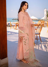 BAREEHA