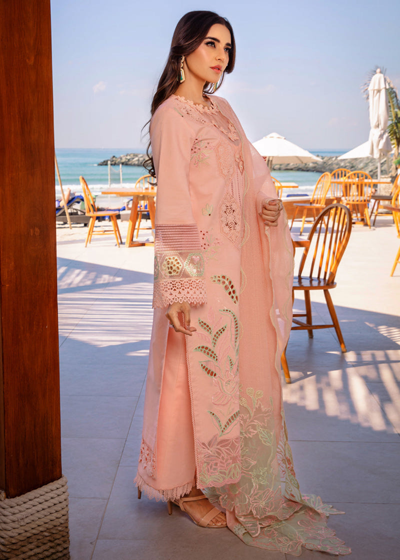 BAREEHA