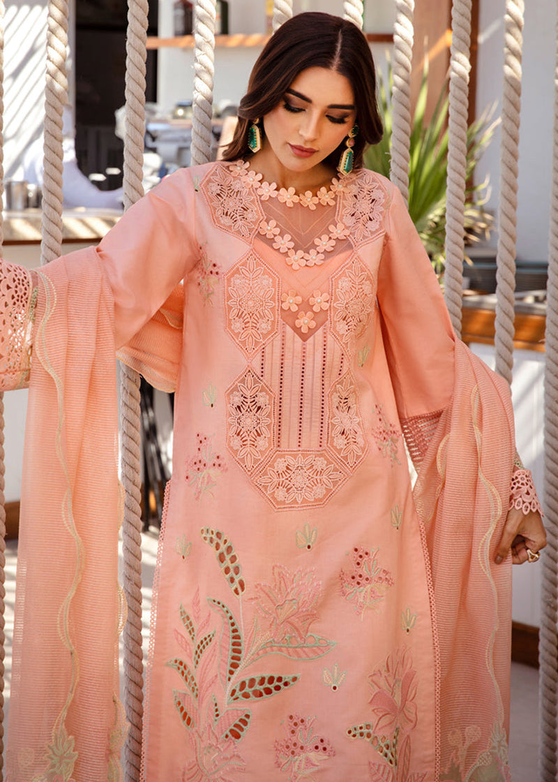 BAREEHA