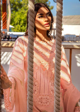 BAREEHA