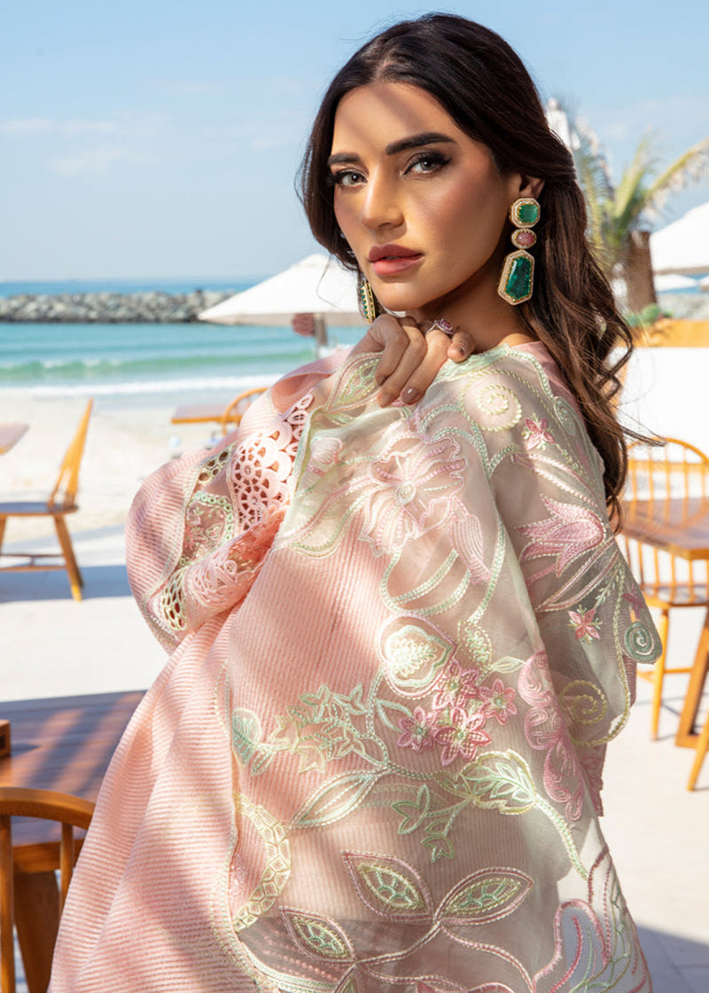BAREEHA